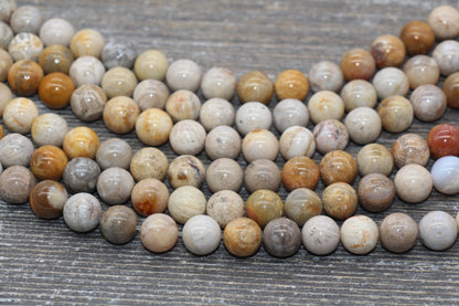 Fossil Coral Jasper Beads, Fossil Beads, Coral Gemstones Round Beads, Jewelry Making Bracelet Beads, Size 4mm 6mm 8mm 10mm #217