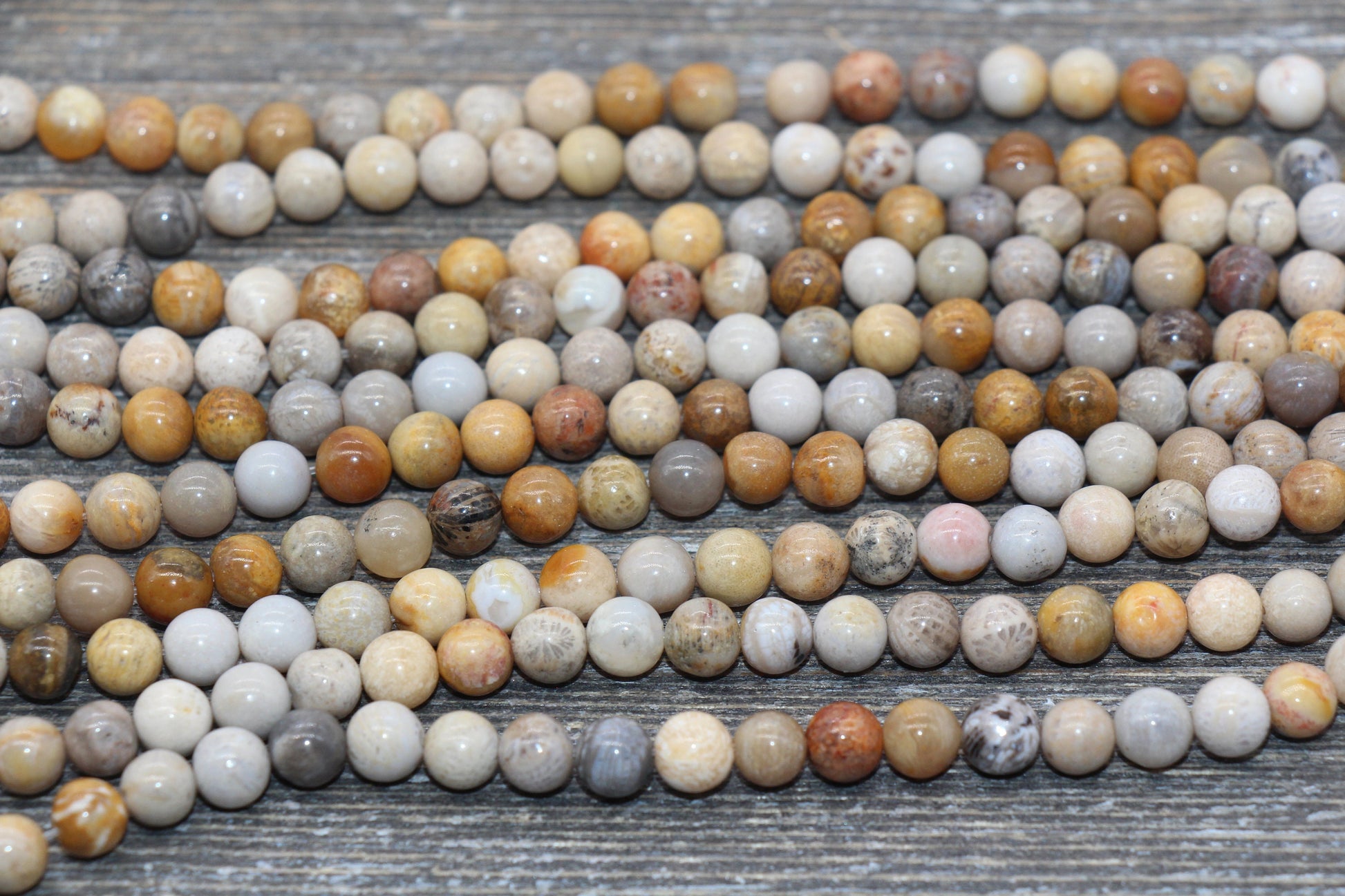 Fossil Coral Jasper Beads, Fossil Beads, Coral Gemstones Round Beads, Jewelry Making Bracelet Beads, Size 4mm 6mm 8mm 10mm #217