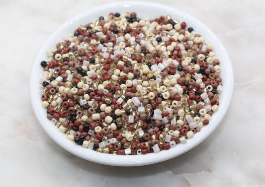 Mix Glass Seed Beads, 3mm Brown Mix Glass Seed Beads, Rocailles Beads, Beading Supplies, Bracelet Beads, Jewelry Making Beads #3115