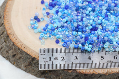 Mix Blue Glass Seed Beads, 3mm Glass Seed Beads, Rocailles Beads, Beading Supplies, Bracelet Beads, Jewelry Making Beads #3122